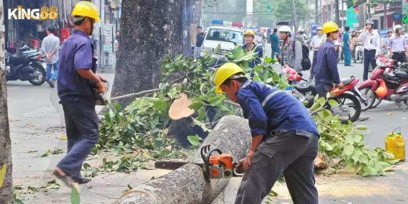 Mơ thấy chặt cây – Điềm báo và con số trúng lô 2 Tìm hiểu ý nghĩa biểu tượng của “cây” từ A đến Z