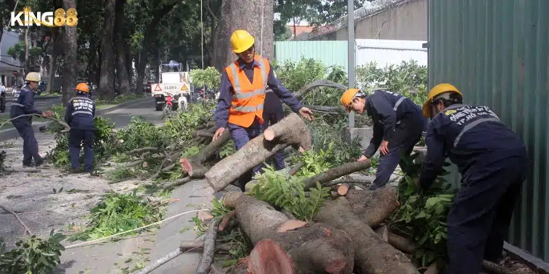 Mơ thấy chặt cây – Điềm báo và con số trúng lô 3 Luận giải chi tiết các tình huống thường gặp